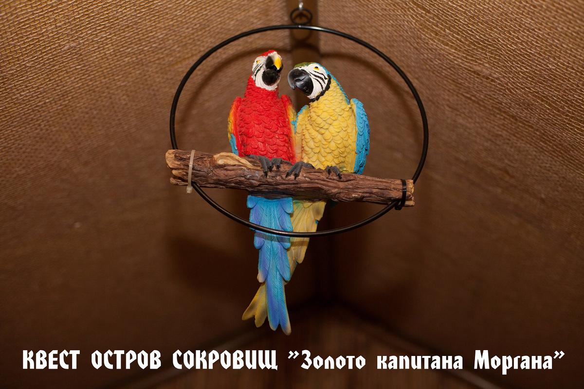 ostrov-sokrovisch---zoloto-kapitana-morgana