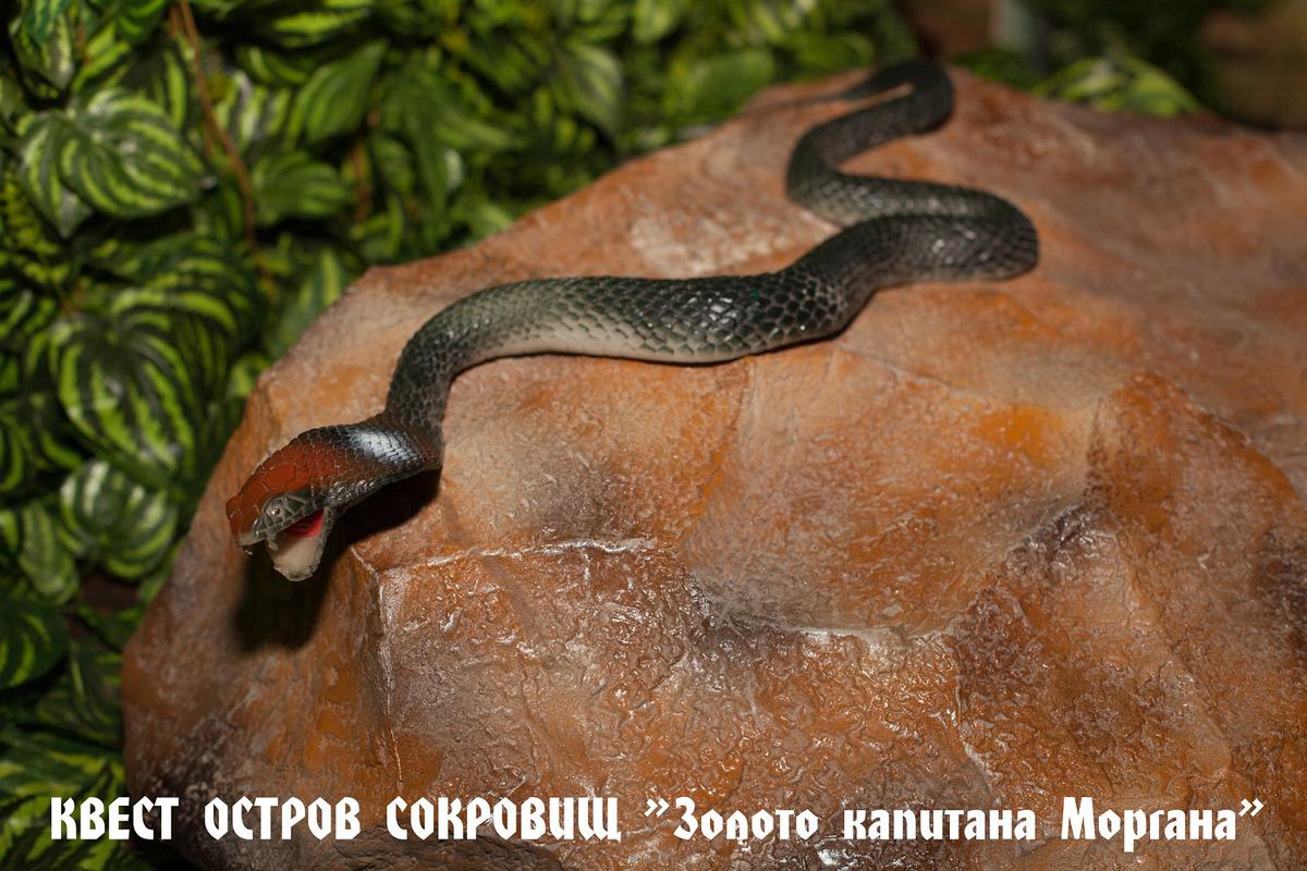 ostrov-sokrovisch---zoloto-kapitana-morgana