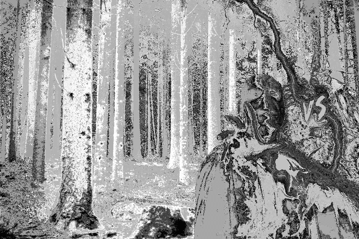 kvest-v-realnosti-neo-skazka