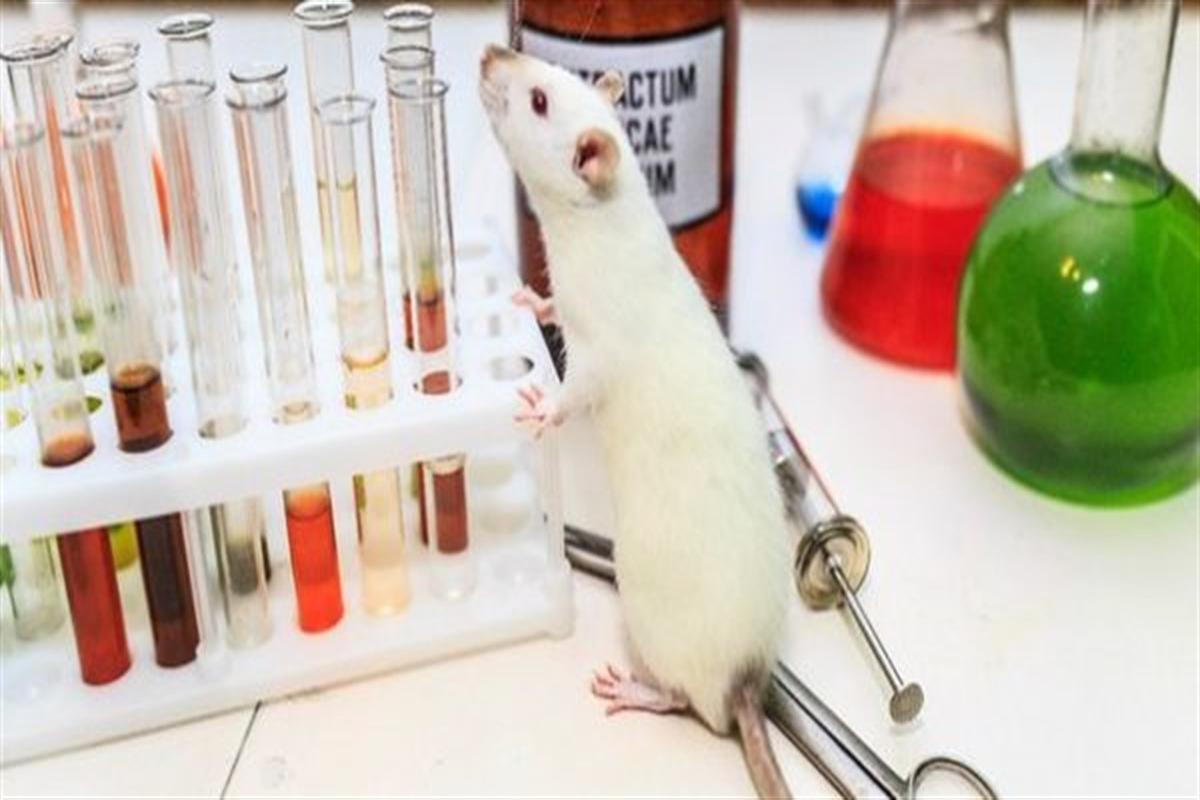 laboratorija-choknutogo-professora