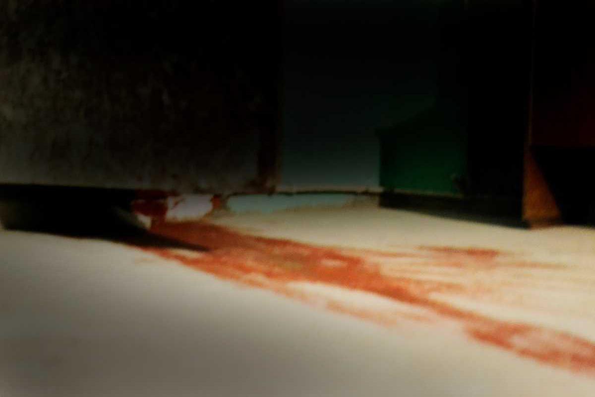 o-soznanie-laboratorija-h-16