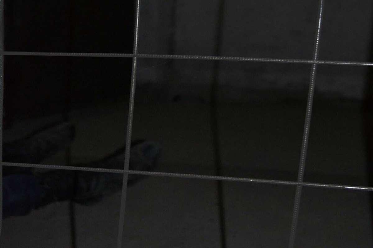 o-soznanie-laboratorija-h-16