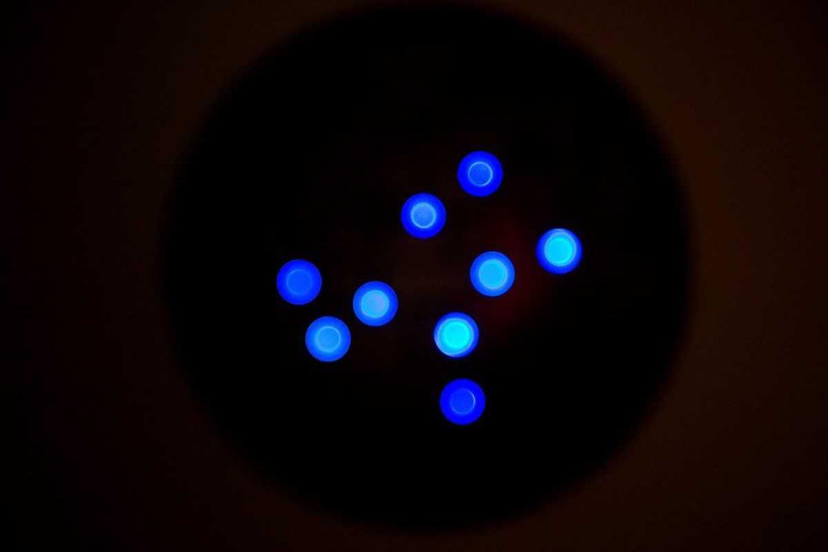 portal-64138